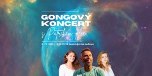 Gongový koncert s Patrikem Kee @ Novoměstská radnice Praha | Hlavní město Praha | Česko